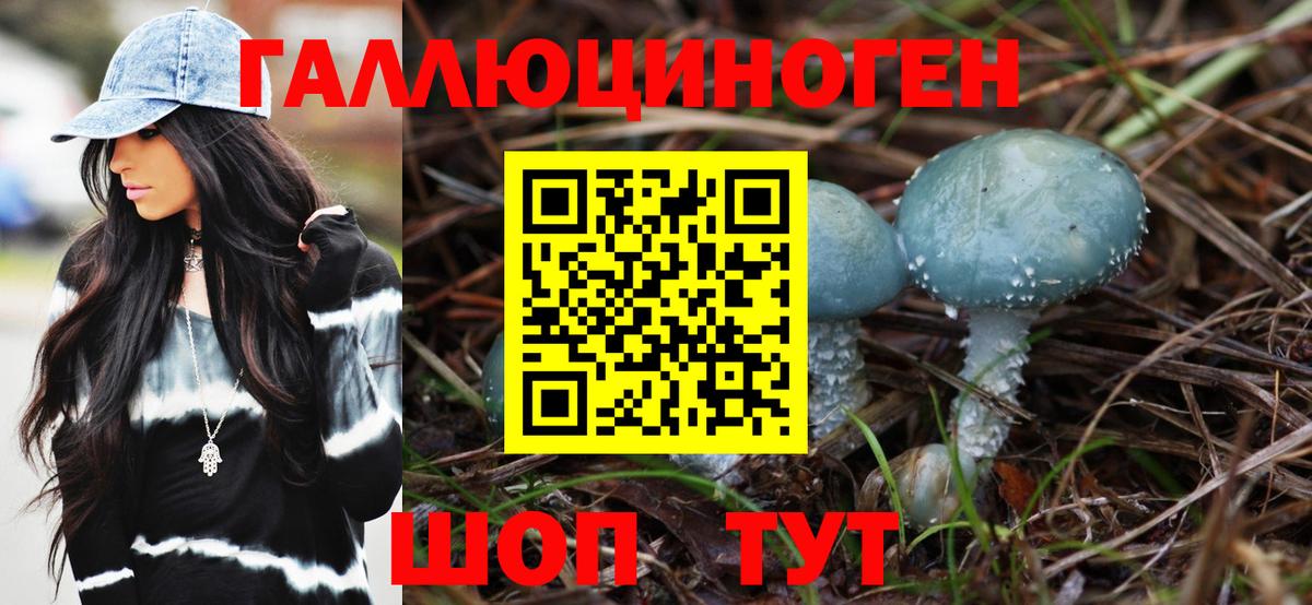 Псилоцибиновые грибы Magic Shrooms  Псилоцибиновые грибы Cubensis  Вход с VPN  Осинники 