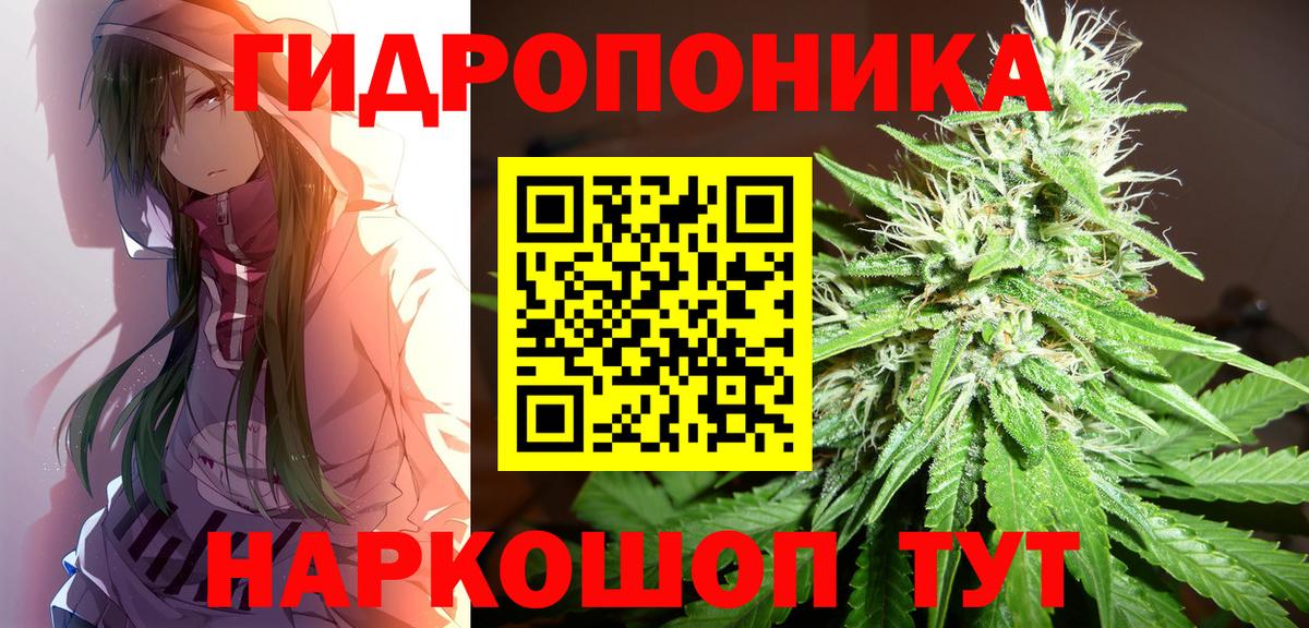 Шишки марихуана VHQ  Шишки марихуана планчик  Марихуана индика  Осинники  Вход с VPN 